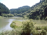 西田