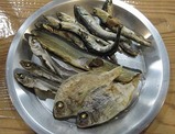 めんり煮干