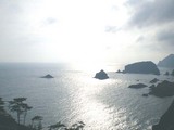 中木遠望2