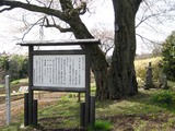 寺子