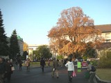 国立博物館