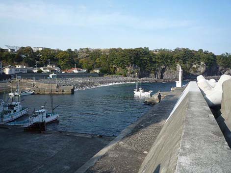 八幡野港2