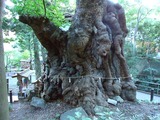 来宮神社