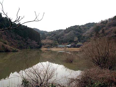 農園全景1