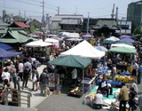 川越骨董市