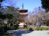 豪徳寺