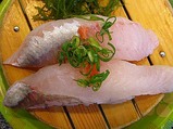 マゴチ