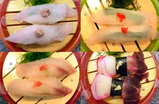 魚磯1