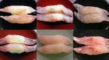魚どん也1
