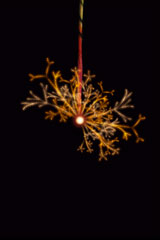 20091008