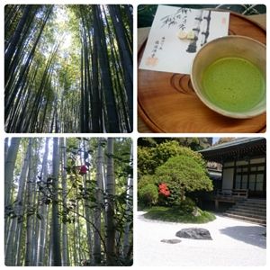 かまくら 竹