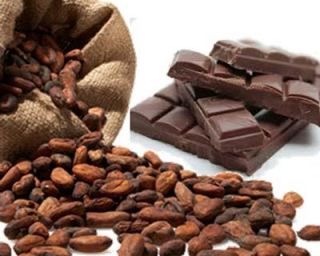 cacao-top