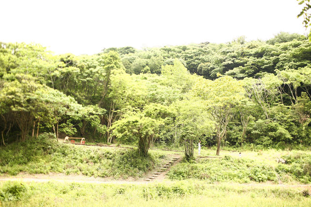 255692_28337373_245large