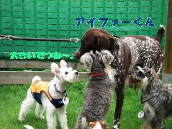 ¥¢¥¤¥Õ¥¡¡¼¤¯¤ó