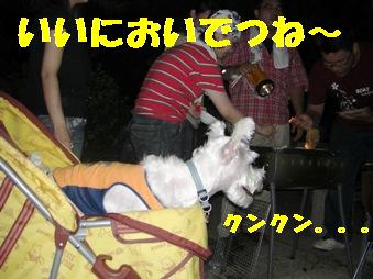 ¥«¡¼¥È¥Ï¥¦¥ë¡¡Ìë