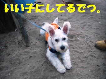 Éú¤»¥Ï¥¦¥ë