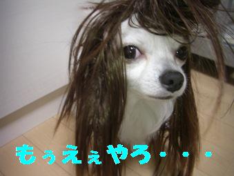 ¥È¥È¥í2