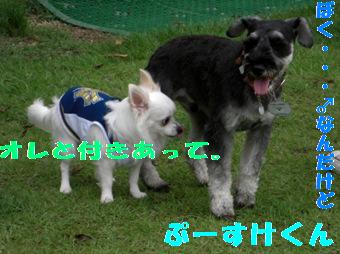 ¤×¡¼¤¹¤±¤¯¤ó¹¥¤