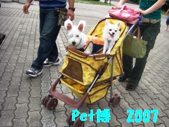 petÇî¡¡2007