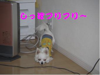 ¤¨
