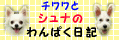 ¥Ð¥Ê¡¼4