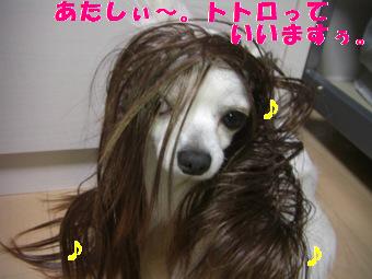 ŽÄŽÄŽÛ1