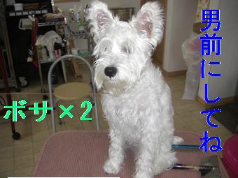 ¥Ü¥µ¥Ü¥µ