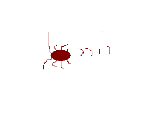 14ee27e7.bmp
