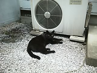 8b8a05ac.jpg