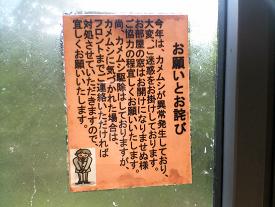 d49ffc83.jpg