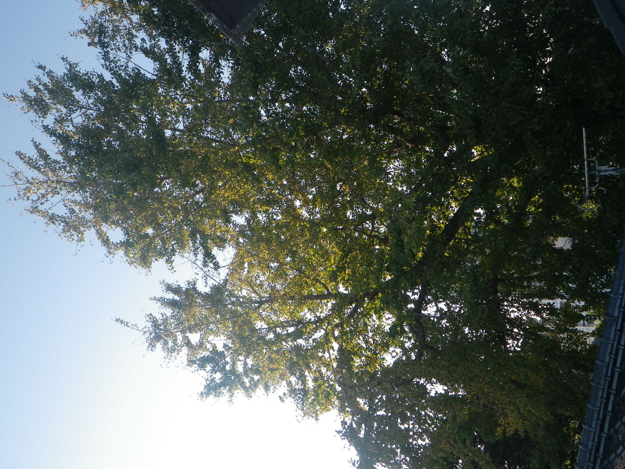 IMGP1053