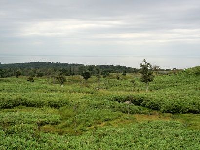 2011091008