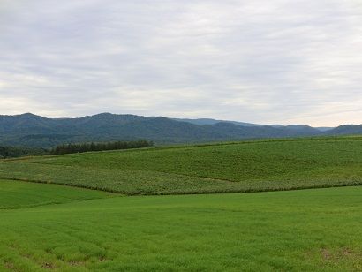2011091141