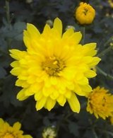 20041010_0646_0000.jpg