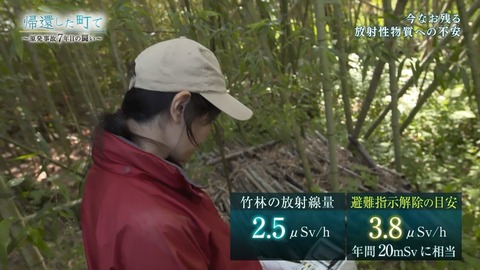 キャプチャ