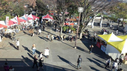 201201140307057d3