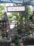 CA3H007100010001