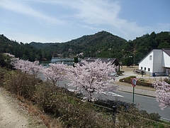 深山公園