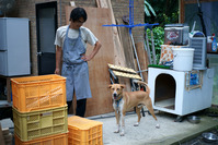 DSC04635