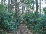 62a40c7e.jpg