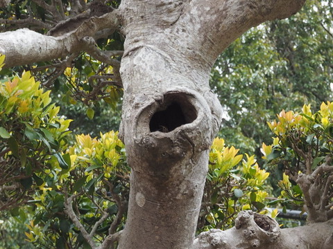 P4200389