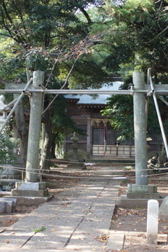 DSC05187