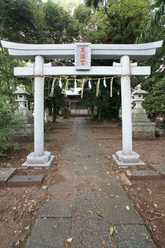 DSC04181B
