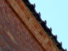 DSC00481