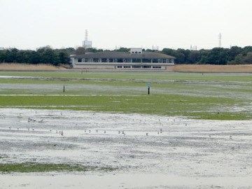 DSC03159