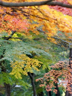 DSC00373-1