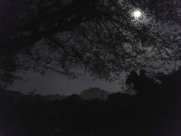 DSC03819-1