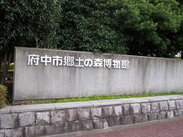 P7150454