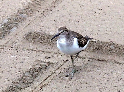 P6290164