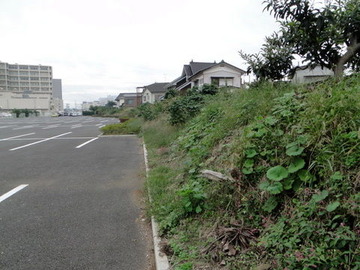 DSC02931